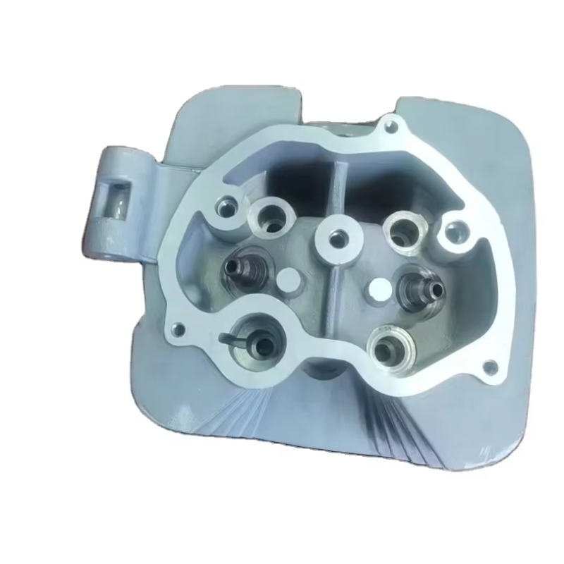 High Quality New Cylinder Head - Motorcycle Cylinder 评论和价格